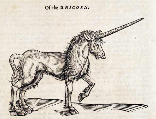 On Language, an Astronaut, and a&nbsp;Unicorn